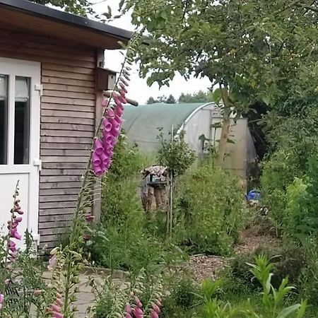 Fairschlafen - Gartenwohnung Buecken Ngoại thất bức ảnh