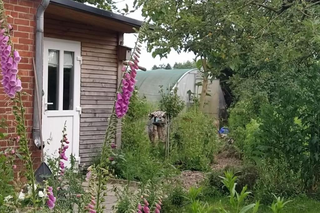 Fairschlafen - Gartenwohnung Buecken Ngoại thất bức ảnh