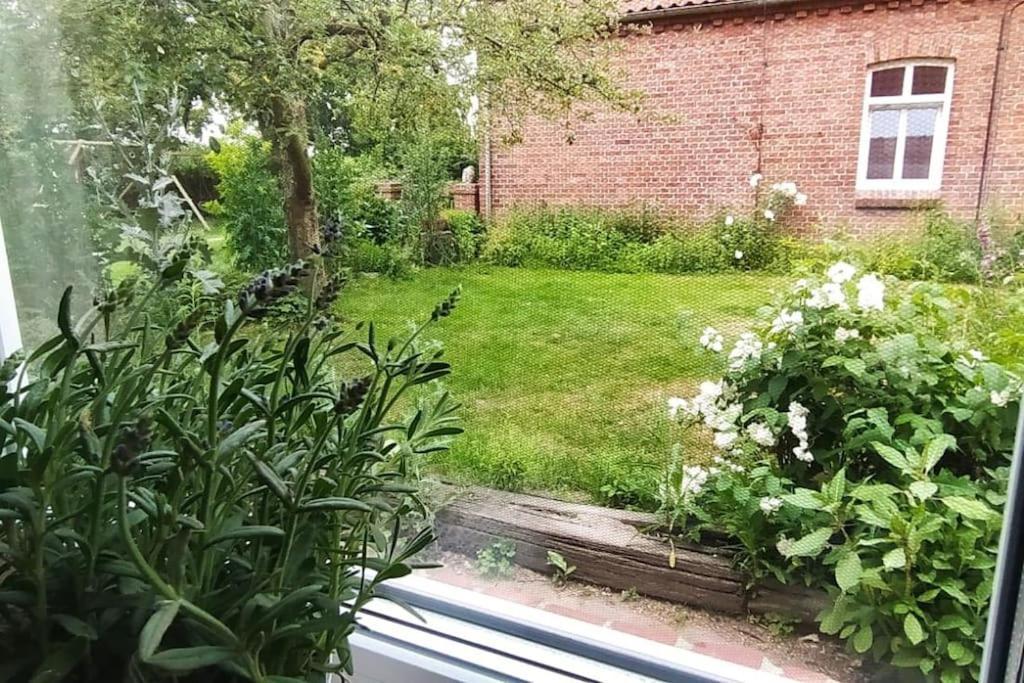 Fairschlafen - Gartenwohnung Buecken Ngoại thất bức ảnh
